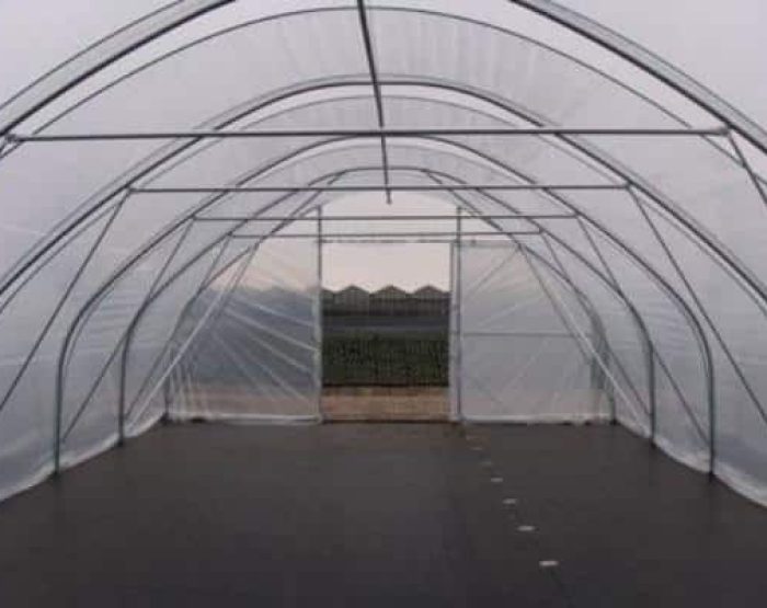 Tunnelfolie op maat gemaakt foliewinkel